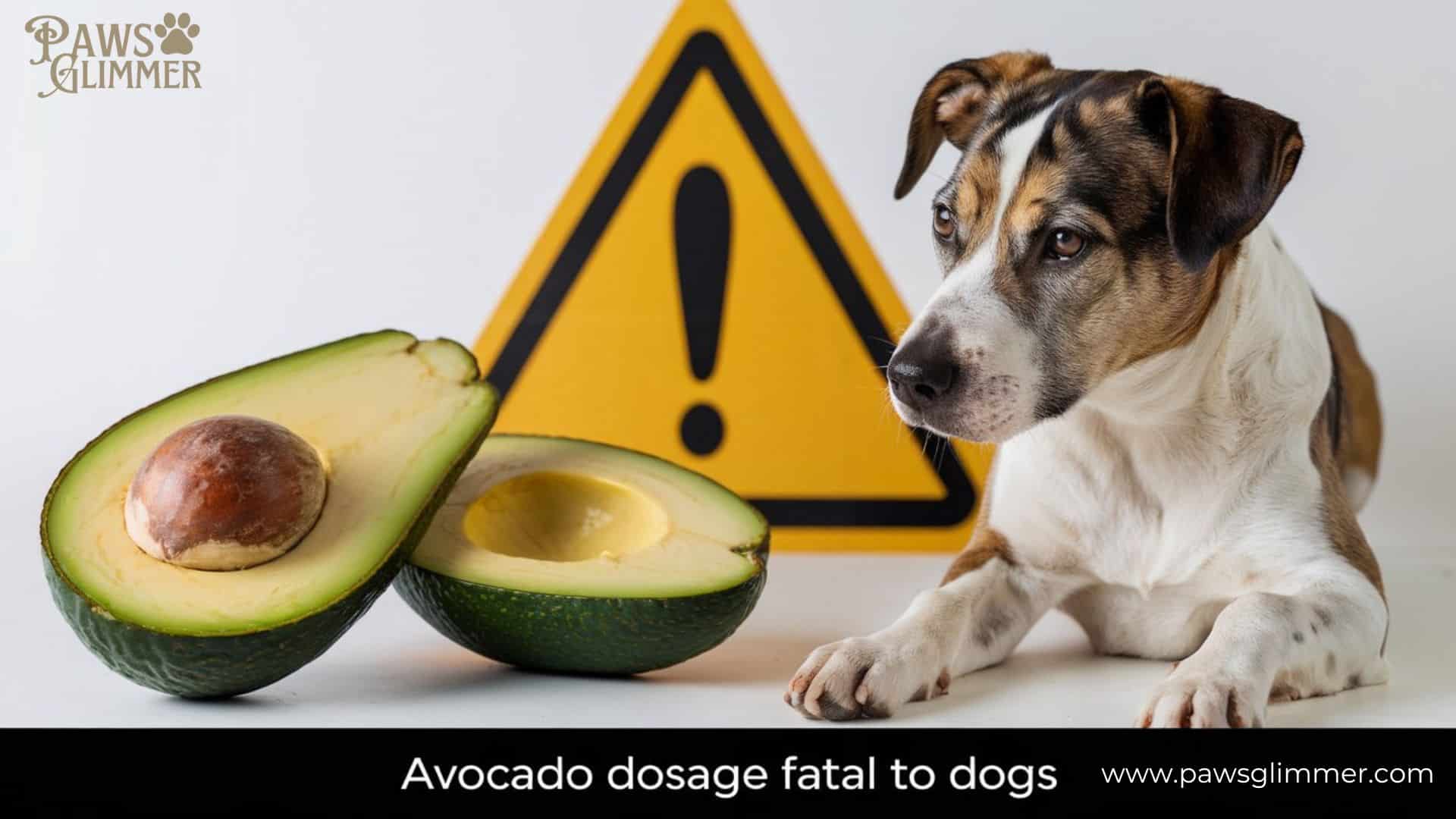 Treatment for Avocado Toxicity