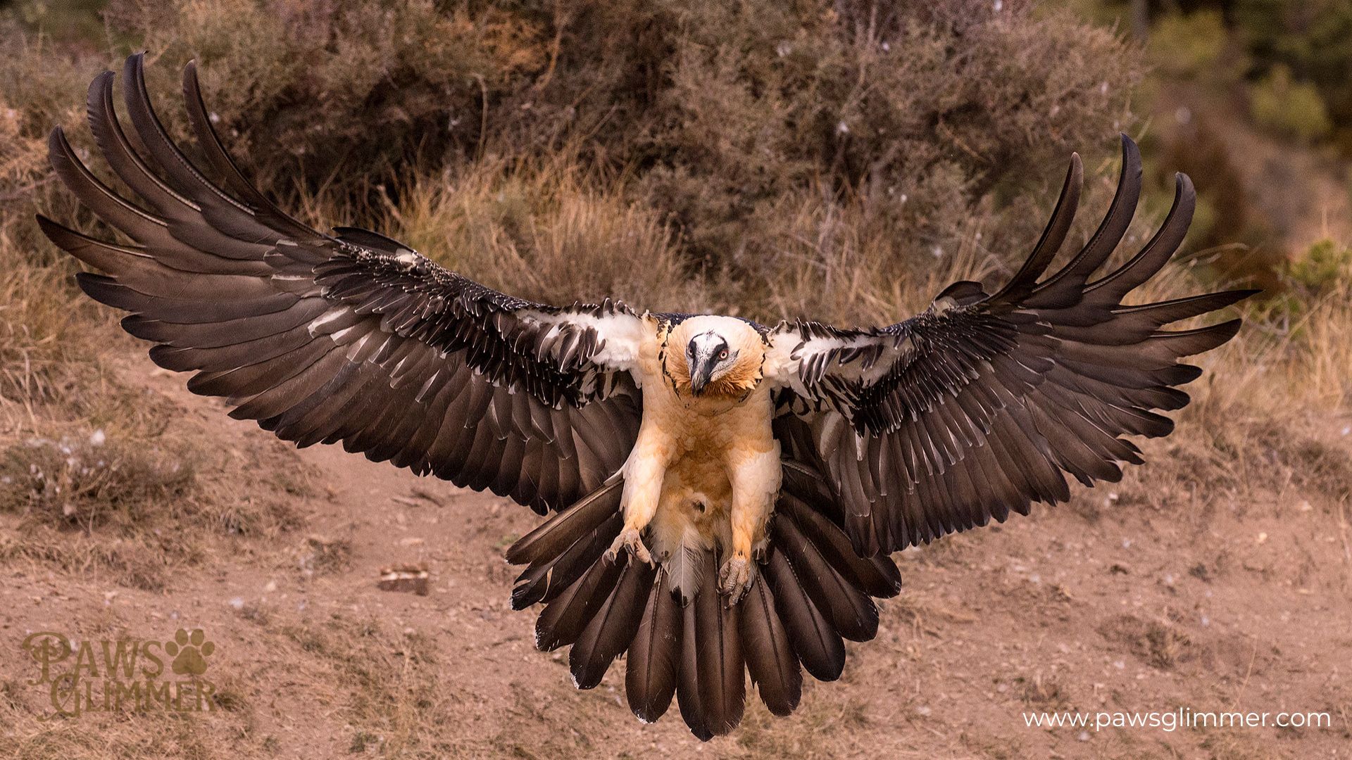 Tibetan Sky Burial